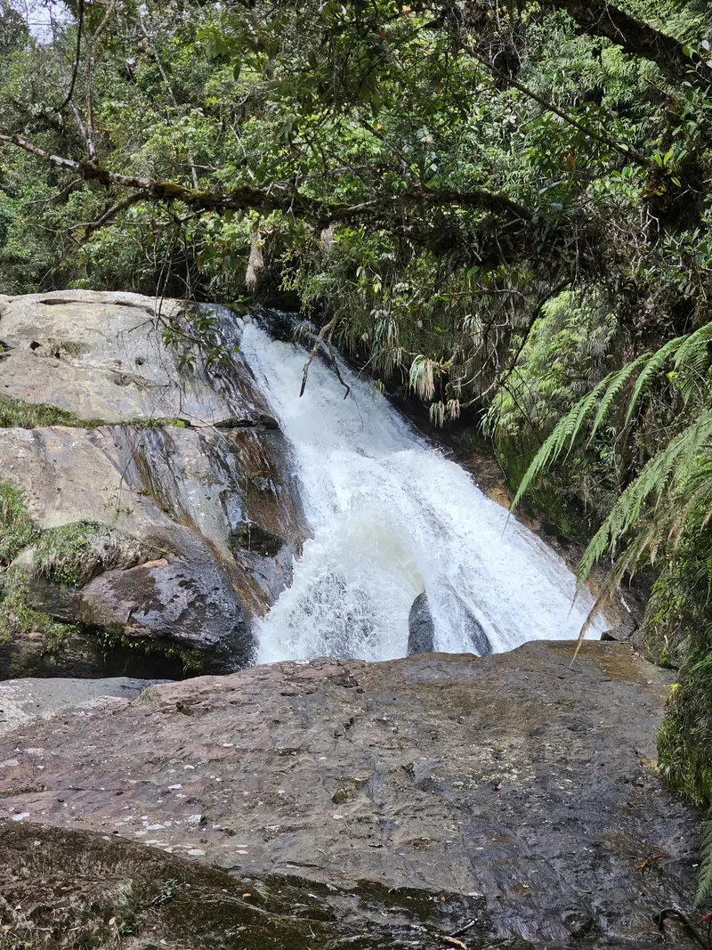 Cascada cerca de la finca